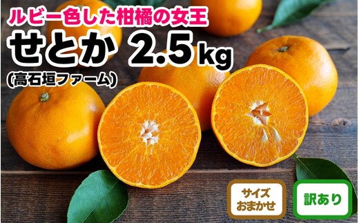 訳あり せとか 2.5kg M～2Lサイズおまかせ 高石垣ファーム