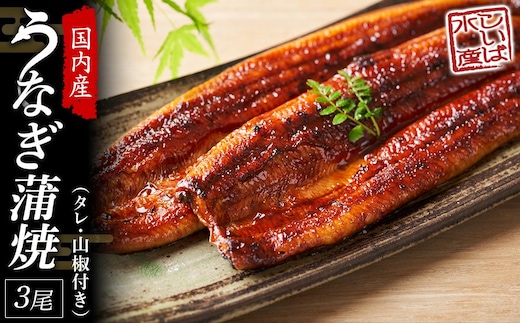 国産 うなぎ蒲焼 3本 セット 合計 約300g 数量限定
