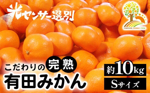 光センサー選別／完熟有田みかんSサイズ 約10kg 有機質肥料100% ※2024