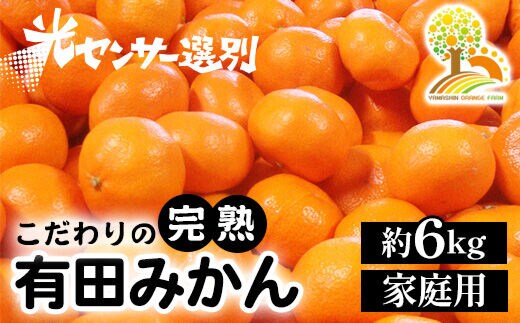 光センサー選別／こだわりの有田みかん 約6kg 【ご家庭用】 有機質肥料