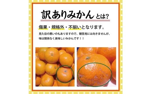 光センサー選別／ 訳あり 有田みかん 約5kg 【ご家庭用】 和歌山県