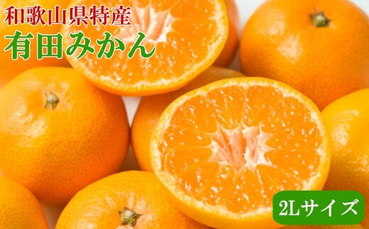 [秀品]和歌山有田みかん6kg（2Lサイズ）※2025年11月中旬～2026年1月中旬頃に順次発送予定