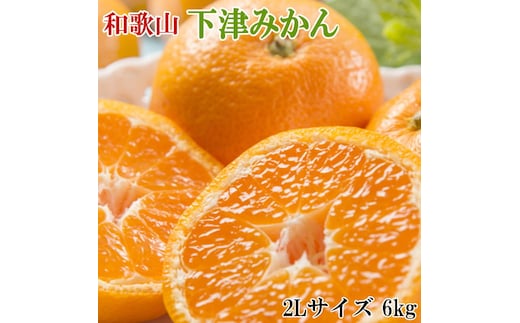 【産直・秀品】和歌山下津みかん 約6kg（2Lサイズ） ※2025年11月中旬～2026年1月中旬頃に順次発送予定