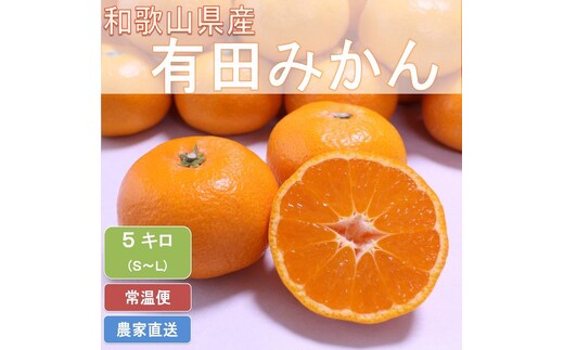 こだわりの和歌山県産 有田みかん 5kg（S～Lサイズおまかせ）ひとつひとつ手選別で厳選！生産者から直送 ※2025年11月下旬頃より順次発送予定