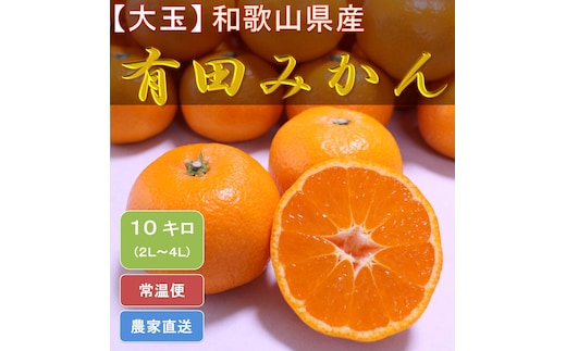 [大玉]和歌山県産 有田みかん10kg（2L～4Lサイズおまかせ）ひとつひとつ手選別で厳選！生産者から直送 ※2025年11月下旬頃より順次発送予定