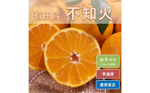 和歌山県有田産 不知火 約5kg（18～24玉）ひとつひとつ手選別で厳選！生産者から直送
