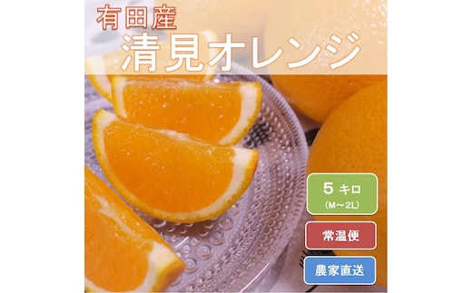 和歌山県有田産 完熟清見オレンジ 5kg（M～2Lサイズおまかせ）ひとつひとつ丁寧に厳選！生産者から直送 ※2026年3月中旬頃より順次発送予定