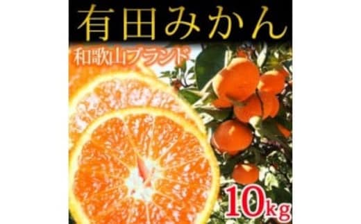 【先行予約】完熟有田みかん10kg