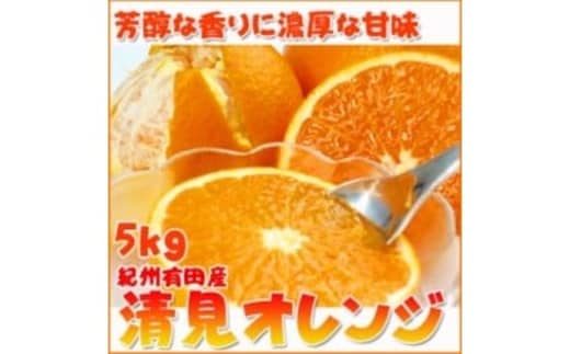 とにかくジューシー清見オレンジ ５kg※2026年3月下旬頃〜2026年4月中旬頃に順次発送予定