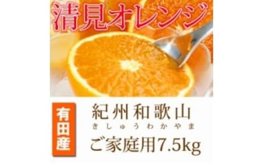 【ご家庭用訳アリ】紀州有田産清見オレンジ ７.５kg※2026年3月下旬頃〜2026年4月中旬頃に順次発送予定