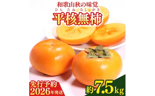 【2026年先行予約】和歌山秋の味覚 平核無柿（ひらたねなしがき）約7.5kg