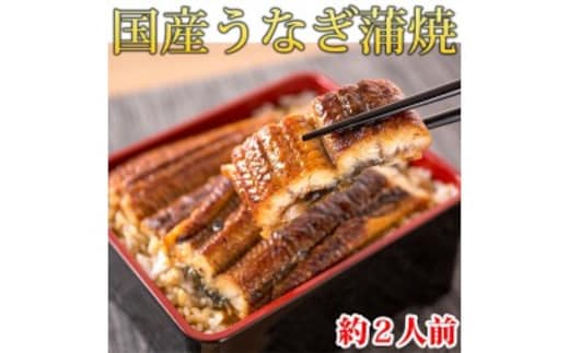 大型サイズ ふっくら柔らか国産うなぎ蒲焼き 約２人前 化粧箱入◆