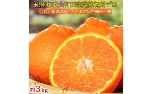 果肉プリプリ♪ 完熟紀州デコ(不知火) 約3kg ｜ 柑橘 不知火 デコポン みかん フルーツ 果物 旬 先行予約 でこぽん 国産 産地直送 完熟 一級品 美浜町 ※2026年2月下旬～3月下旬頃に順次発送予定