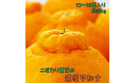 【先行予約】こだわり農家の濃厚不知火（デコポンと同品種） 12～18玉（約5kg）※2026年2月上旬～3月下旬頃に順次発送予定 ※北海道・沖縄・離島への配送不可