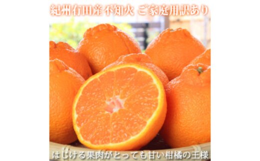 【ご家庭用訳有り】紀州有田産不知火(しらぬひ) 約8.5kg ※2026年2月中旬～3月中旬頃に順次発送予定