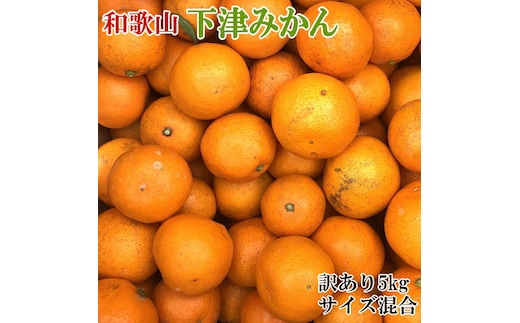 【訳あり】和歌山下津みかん5kgご家庭用向け(サイズ混合) ※2025年11月中旬～2026年1月中旬頃に順次発送予定