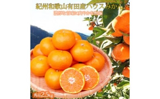 紀州和歌山有田産ハウスみかん 2.5kg 化粧箱入 ふるさと納税 ミカン ※2026年7月上旬〜7月下旬頃に順次発送予定