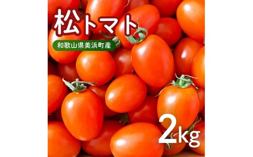 美浜町産 松トマト（アイコ）2Kg｜ミニトマト とまと 野菜 糖度 和歌山 先行予約 やさい トマト アイコ 国産 旬の野菜 特産品 人気 産地直送 美浜町 ※2025年11月下旬～2026年6月上旬頃に順次発送予定
