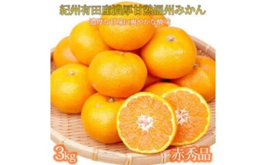 【先行予約】赤秀品 紀州有田産濃厚完熟温州みかん ３kg（ＭサイズまたはＳサイズ）