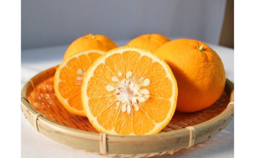 夏みかん7.2kg ※2026年4月中旬頃〜2026年4月下旬頃に順次発送予定