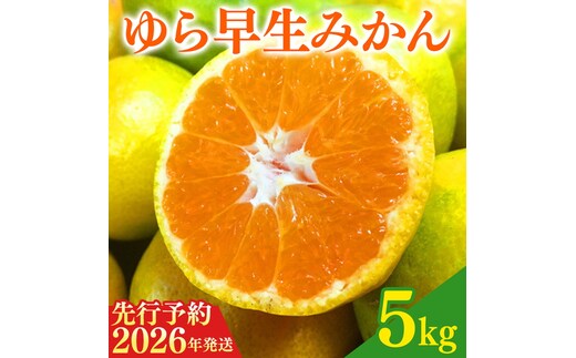 【2026年先行予約】紀州和歌山有田産ゆら早生みかん 5kg