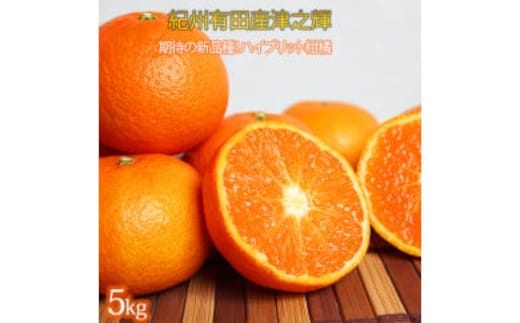 津之輝(つのかがやき) 5kg ※2026年2月上旬〜2月下旬頃に順次発送予定