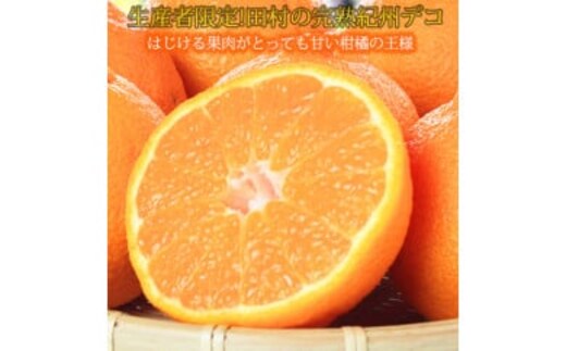 高級ブランド田村の完熟紀州デコ(不知火) ｜ 柑橘 不知火 デコポン みかん フルーツ 果物 旬 先行予約 でこぽん 国産 産地直送 完熟 一級品 美浜町 ※2026年2月下旬～3月下旬頃に順次発送予定