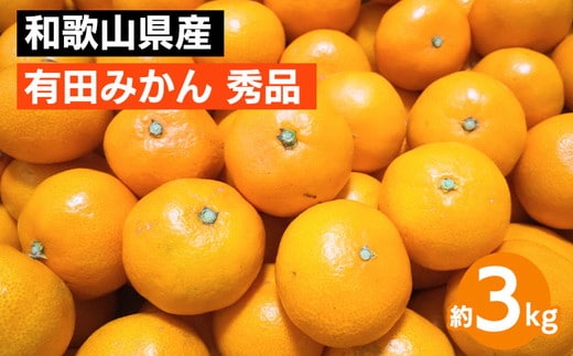 和歌山県産 有田みかん 約3kg 秀品 ※2025年10月中旬～2026年1月下旬頃に順次発送予定 ※北海道・沖縄・離島への配送不可