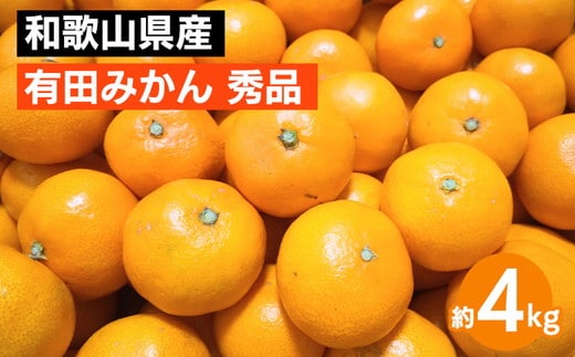 和歌山県産 有田みかん 約4kg 秀品 ※2025年10月中旬～2026年1月下旬頃に順次発送予定 ※北海道・沖縄・離島への配送不可