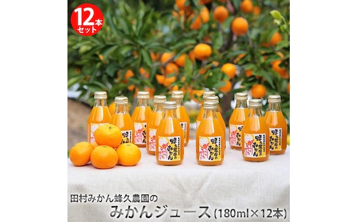 田村みかん蜂久農園のみかんがっつりしぼったでぇ みかんジュース(180ml×12本)