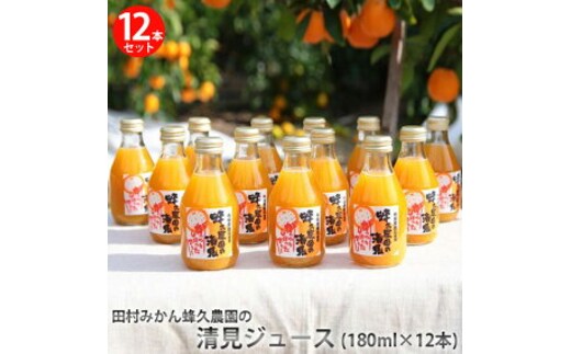田村みかん蜂久農園の清見がっつりしぼったでぇ 清見ジュース(180ml×12本)※2026年4月以降に順次発送予定