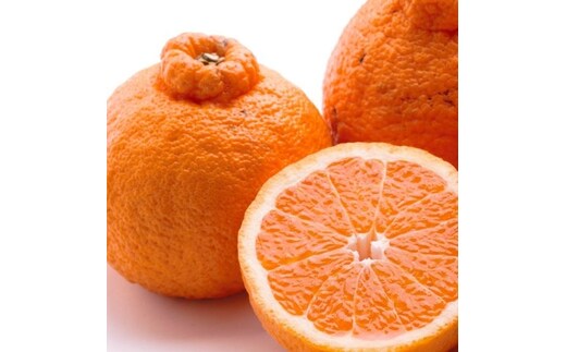 ＜2月より発送＞厳選 不知火7.5kg+250g（傷み補償分）◇【デコポンと同品種・人気の春みかん】