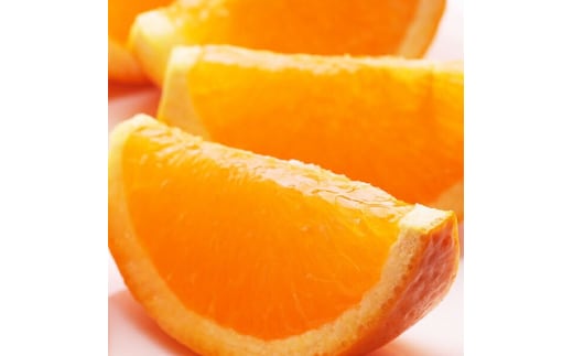 ＜2月より発送＞厳選 清見オレンジ1kg+250g（傷み補償分）◇【光センサー食頃出荷】【樹上完熟きよみオレンジ・清見タンゴール・清美】 ※2026年2月上旬～3月下旬頃に順次発送予定 ※北海道・沖縄・離島への配送不可