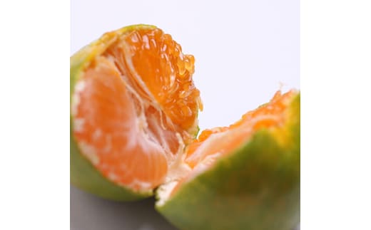 〈10月より発送〉ゆら早生 プレミアム有田みかん 2.5kg+250g（傷み補償分） ｜ 柑橘 果物 フルーツ 糖度 甘い 濃厚 コク ジューシー 光センサー