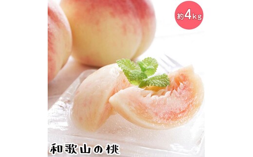 【先行予約】【夏の美味】フルーツ王国 和歌山の桃 約4kg 化粧箱入り | もも モモ 桃 国産 フルーツ 果物 果実 お取り寄せ ギフト デザート スイーツ 贈り物（fr-07）