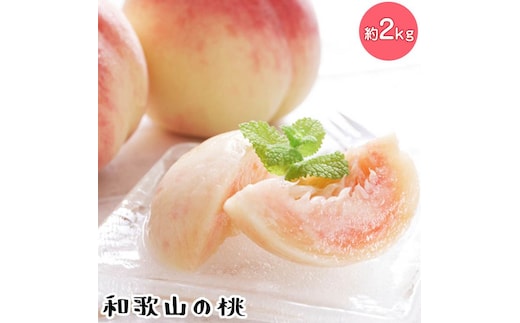 【先行予約】【夏の美味】フルーツ王国 和歌山の桃 約2kg 化粧箱入り | もも モモ 桃 国産 フルーツ 果物 果実 お取り寄せ ギフト デザート スイーツ 贈り物（fr-06）