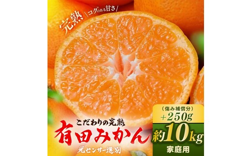 ＼光センサー選別／こだわりの完熟有田みかん 10kg＋250g(傷み補償分) 【ご家庭用】サイズ混合 有機質肥料100%｜ ふるさと納税 みかん 〇※2025年11月中旬～2026年1月上旬頃に順次発送予定 ※北海道・沖縄・離島への配送不可