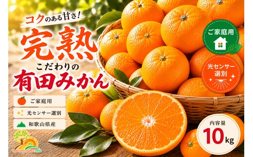 ＼光センサー選別／こだわりの完熟有田みかん 10kg＋150g(傷み補償分) 【ご家庭用】サイズ混合 有機質肥料100%｜ ふるさと納税 みかん
