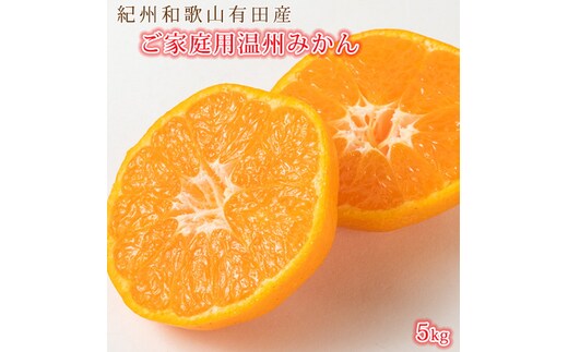 【先行予約】【ご家庭用訳あり】紀州和歌山有田産温州みかん5kg