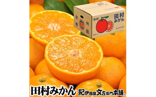 田村みかん/5kg 秀品【小玉サイズ】/湯浅町田村地区産/産地直送/最高級プレミアムブランドの田村ミカン/紀伊国屋文左衛門本舗