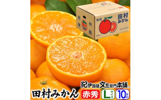 田村みかん/特選ギフト品10kg【Lサイズ】赤秀｜湯浅町田村地区産 産地直送 最高級 紀伊国屋文左衛門本舗※2025年11月下旬～2026年1月中旬頃に順次発送予定