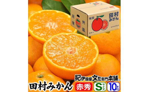 田村みかん/特選ギフト品10kg【Sサイズ】赤秀｜湯浅町田村地区産 産地直送 最高級プレミアムブランドの田村ミカン 紀伊国屋文左衛門本舗※2025年11月下旬～2026年1月中旬頃に順次発送予定