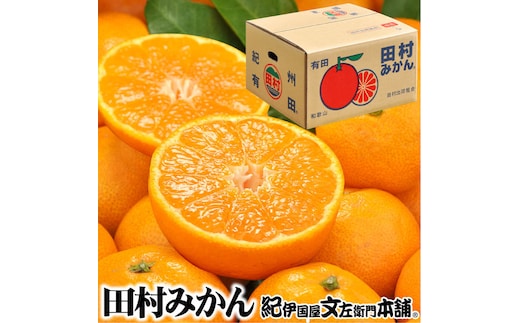 田村みかん/9kg 秀品【大玉サイズ】｜湯浅町田村地区産 産地直送 最高級プレミアムブランドの田村ミカン 紀伊国屋文左衛門本舗※2025年11月下旬～2026年1月中旬頃に順次発送予定