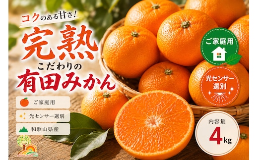 ＼光センサー選別／こだわりの完熟有田みかん 4kg＋150g(傷み補償分) 【ご家庭用】サイズ混合 有機質肥料100%｜ みかん 有田みかん 温州みかん ミカン 温州ミカン 柑橘 温州 甘い コク 産地直送