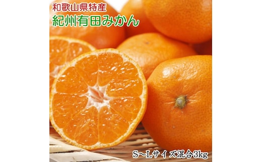 [秀品]和歌山有田みかん約3kg(S～Lサイズ混合)ふるさと納税 ミカン※2025年11月中旬～2026年1月中旬頃に順次発送予定