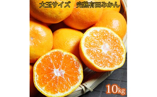 【先行予約】大玉サイズ 完熟有田みかん １０kg