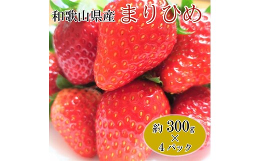 【1月発送】和歌山県産ブランドいちご「まりひめ」約300g×4パック入り◇｜苺 産地直送 果物 ふるさと納税 いちご フルーツ ※北海道・沖縄・離島への配送不可 ※2026年1月中旬～1月下旬頃に順次発送予定