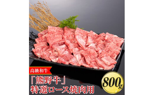 高級和牛「熊野牛」特選ロース焼肉用 800g〈4等級以上〉｜牛肉 ビーフ 国産 BBQ 冷凍便 厳選※離島への配送不可※着日指定不可