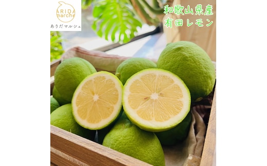 【先行予約】【国産】農家直送！ 有田レモン 1kg◇ ※北海道・沖縄・離島への配送不可 ※2025年9月下旬～2026年3月下旬頃に順次発送予定