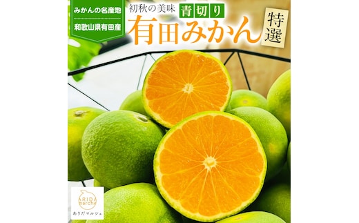 【先行予約】【初秋の美味】特選！濃厚青切り有田みかん 10.2kg(10kg+200g(傷み補償分))